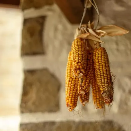 Mavras Tas Odalar شقة فندقية